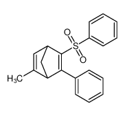 Bicyclo[2.2.1]hepta-2,5-diene, 5-methyl-3-phenyl-2-(phenylsulfonyl)- CAS:96596-63-3 manufacturer & supplier