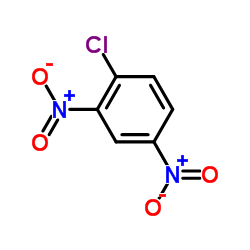 1-chloro-2,4-dinitrobenzene CAS:97-00-7 manufacturer & supplier