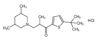 1-(5-(tert-butyl)thiophen-2-yl)-3-(3,5-dimethylpiperidin-1-yl)-2-methylpropan-1-one hydrochloride CAS:97094-95-6 manufacturer & supplier