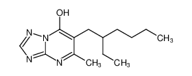 [1,2,4]Triazolo[1,5-a]pyrimidin-7-ol, 6-(2-ethylhexyl)-5-methyl- CAS:97228-17-6 manufacturer & supplier