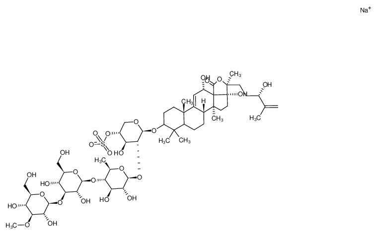 24(S)-hydroxy-25-dehydro-echinoside A CAS:97243-47-5 manufacturer & supplier