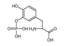 (2S)-2-amino-3-(4-hydroxy-3-phosphonooxyphenyl)propanoic acid CAS:97321-86-3 manufacturer & supplier