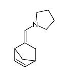 (E)-1-(bicyclo[2.2.1]hept-5-en-2-ylidenemethyl)pyrrolidine CAS:97325-89-8 manufacturer & supplier