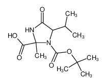 5-Isopropyl-2-methyl-4-oxo-imidazolidine-1,2-dicarboxylic acid 1-tert-butyl ester CAS:97510-47-9 manufacturer & supplier