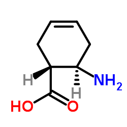 TRANS-2-AMINO-4-CYCLOHEXENE-1-CARBOXYLIC ACID CAS:97945-19-2 manufacturer & supplier