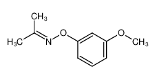 Acetone O-(m-methoxyphenyl)oxime CAS:97946-21-9 manufacturer & supplier