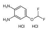 4-(difluoromethoxy)benzene-1,2-diamine dihydrochloride CAS:97963-77-4 manufacturer & supplier