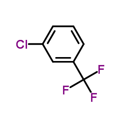 3-Chlorobenzotrifluoride CAS:98-15-7 manufacturer & supplier