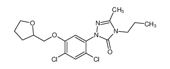 2-(2,4-dichloro-5-((tetrahydrofuran-2-yl)methoxy)phenyl)-5-methyl-4-propyl-2,4-dihydro-3H-1,2,4-triazol-3-one CAS:98004-25-2 manufacturer & supplier