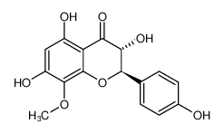 (2R,3R)-3,5,7-trihydroxy-2-(4-hydroxyphenyl)-8-methoxychroman-4-one CAS:98006-94-1 manufacturer & supplier