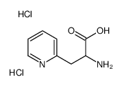 2-amino-3-pyridin-2-ylpropanoic acid,dihydrochloride CAS:98062-70-5 manufacturer & supplier