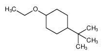 Cyclohexane, 1-(1,1-dimethylethyl)-4-ethoxy- CAS:98069-01-3 manufacturer & supplier