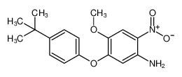 Benzenamine, 5-[4-(1,1-dimethylethyl)phenoxy]-4-methoxy-2-nitro- CAS:98081-55-1 manufacturer & supplier