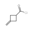 3-methylidenecyclobutane-1-carbonyl chloride CAS:98198-78-8 manufacturer & supplier