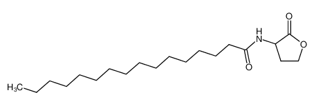 3-hexadecanoylamino-dihydro-furan-2-one CAS:98206-81-6 manufacturer & supplier