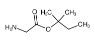 Glycin-tert.-pentylester CAS:98430-21-8 manufacturer & supplier