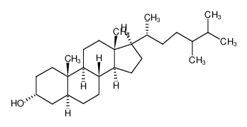 24ξ-methyl-cholestan-3α-ol CAS:98463-66-2 manufacturer & supplier