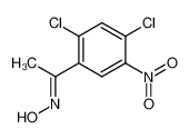 1-(2,4-dichloro-5-nitro-phenyl)-ethanone oxime CAS:98557-62-1 manufacturer & supplier