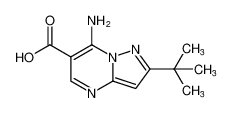 7-amino-2-(tert-butyl)pyrazolo[1,5-a]pyrimidine-6-carboxylic acid CAS:98710-46-4 manufacturer & supplier