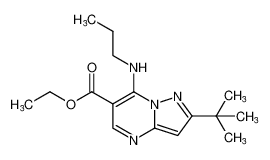 ethyl 2-(tert-butyl)-7-(propylamino)pyrazolo[1,5-a]pyrimidine-6-carboxylate CAS:98710-50-0 manufacturer & supplier