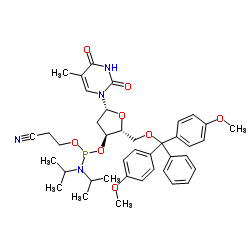 DMT-dT Phosphoramidite CAS:98796-51-1 manufacturer & supplier