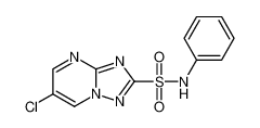 [1,2,4]Triazolo[1,5-a]pyrimidine-2-sulfonamide, 6-chloro-N-phenyl- CAS:98967-08-9 manufacturer & supplier