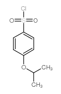 4-Isopropoxybenzenesulfonyl Chloride CAS:98995-40-5 manufacturer & supplier