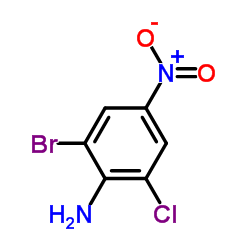 2-Bromo-6-Chloro-4-Nitroaniline CAS:99-29-6 manufacturer & supplier