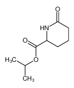 6-oxo-piperidine-2-carboxylic acid isopropyl ester CAS:99063-26-0 manufacturer & supplier