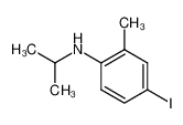 4-Jod-2-methyl-N-isopropyl-anilin CAS:99169-26-3 manufacturer & supplier