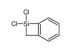 1,1-dichloro-2,3-benzo-1-silacyclo-2-butene CAS:99216-52-1 manufacturer & supplier