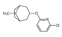 8-Azabicyclo[3.2.1]octane, 3-[(6-chloro-2-pyridinyl)oxy]-8-methyl- CAS:99228-30-5 manufacturer & supplier