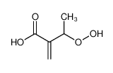 3-Hydroperoxy-2-methylenebutanoic acid CAS:99268-55-0 manufacturer & supplier