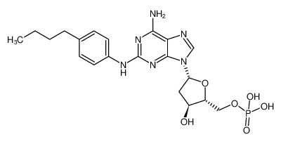 5'-Adenylic acid, 2-[(4-butylphenyl)amino]-2'-deoxy- CAS:99304-83-3 manufacturer & supplier