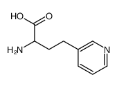 2-amino-4-pyridin-3-ylbutanoic acid CAS:99461-41-3 manufacturer & supplier