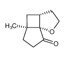 (1R*,5S*,7R*)-7-Methyl-2-oxatricyclo(5.3.0.01,5)decan-10-one CAS:99560-55-1 manufacturer & supplier