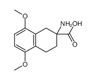 2-amino-5,8-dimethoxy-3,4-dihydro-1H-naphthalene-2-carboxylic acid CAS:99907-84-3 manufacturer & supplier