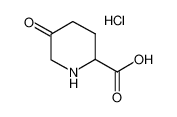 5-oxopiperidine-2-carboxylic acid,hydrochloride CAS:99980-20-8 manufacturer & supplier