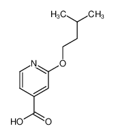 2-isopentyloxy-isonicotinic acid CAS:99986-45-5 manufacturer & supplier